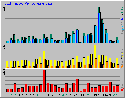 Daily usage for January 2010