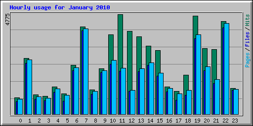 Hourly usage for January 2010